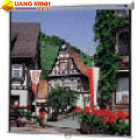 Màn chiếu Quantec